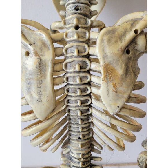 Vintage Paper magic 1998 AS IS animated skeleton Halloween hanging prop decor - Picture 13 of 16